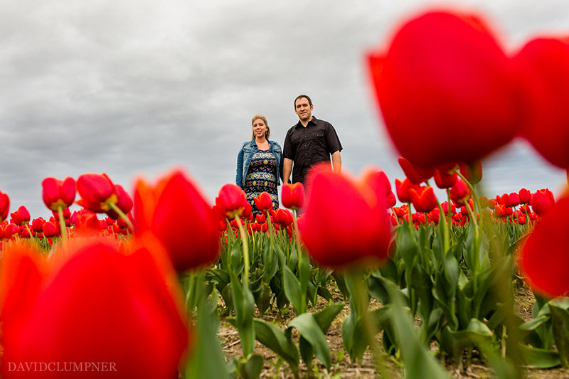 Skagit tulip engagement | David Clumpner Photography | Pacific Coast Weddings