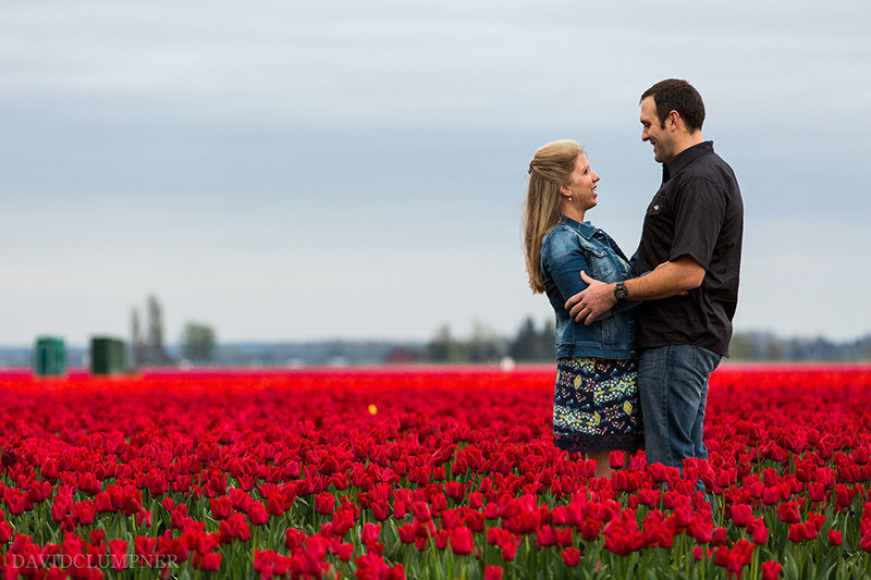 Skagit tulip engagement | David Clumpner Photography | Pacific Coast Weddings
